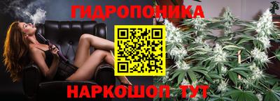 кокс Кандалакша