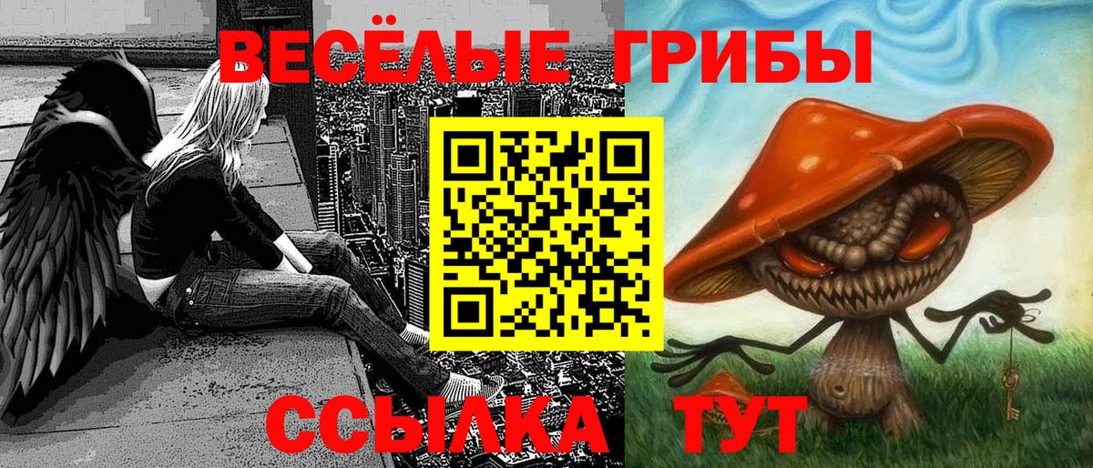 Псилоцибиновые грибы Magic Shrooms Можга