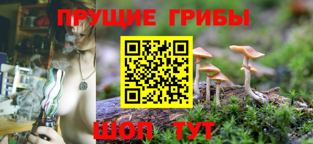 сколько стоит  Псилоцибиновые грибы прущие грибы  Вход с VPN  Галлюциногенные грибы Psilocybe  Можга 